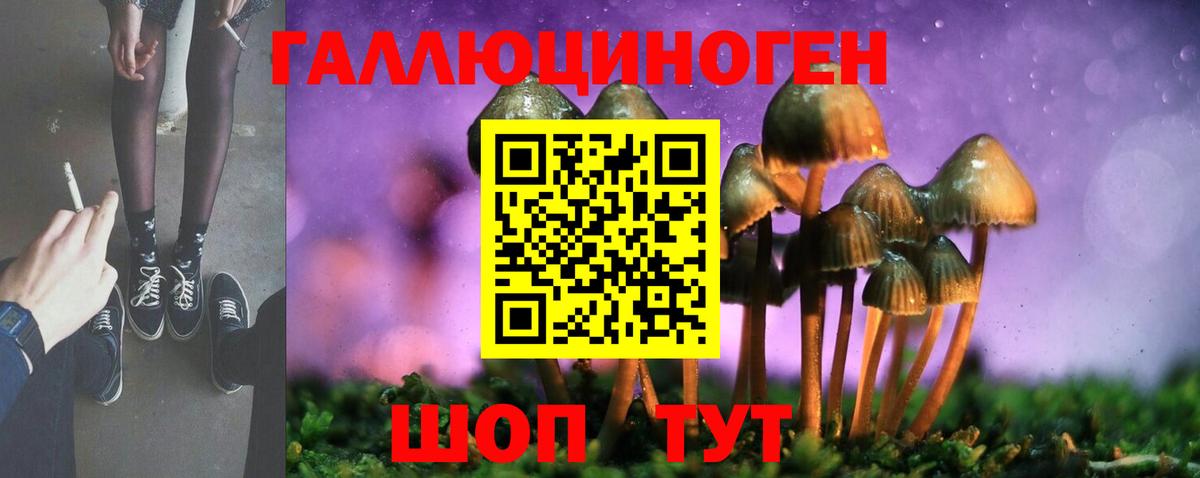 Псилоцибиновые грибы Psilocybe Сорочинск